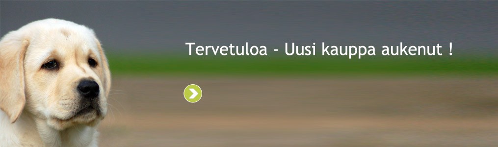 välkommen